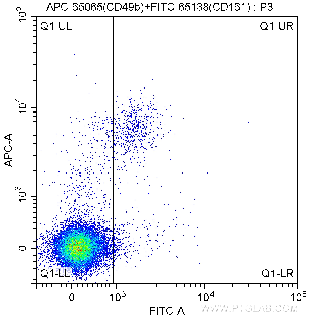 FC experiment of mouse splenocytes using APC-65065