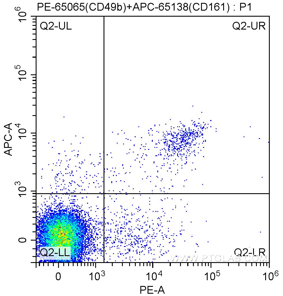 FC experiment of mouse splenocytes using PE-65065