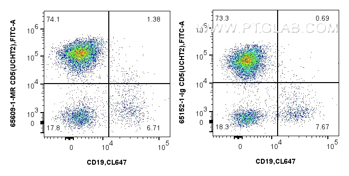CD5