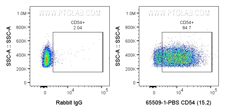 FC experiment of human PBMCs using 65509-1-PBS