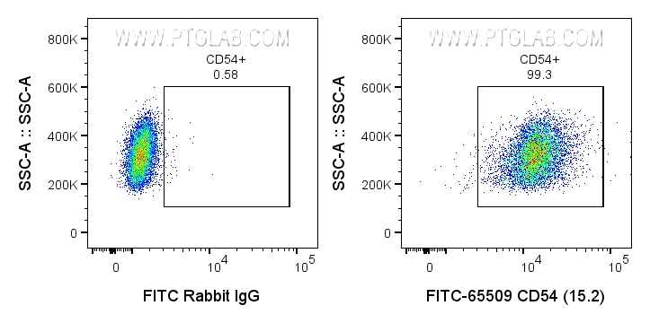 FC experiment of human PBMCs using FITC-65509
