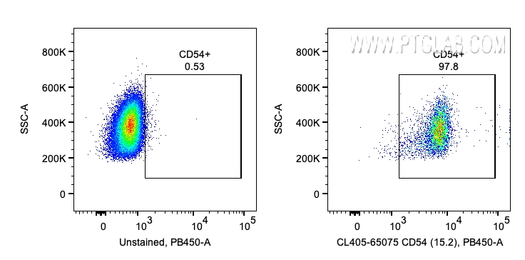 CD54 (ICAM-1)