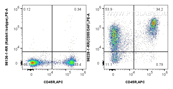 FC experiment of mouse splenocytes using 98228-1-RR