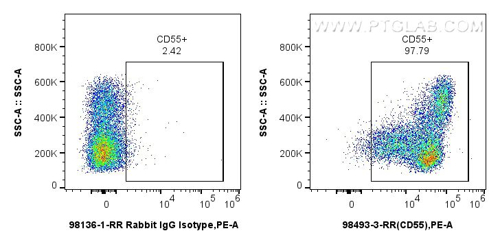 FC experiment of human PBMCs using 98493-3-RR FC experiment of human PBMCs using 98493-3-RR