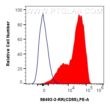 FC experiment of human PBMCs using 98493-3-RR FC experiment of human PBMCs using 98493-3-RR