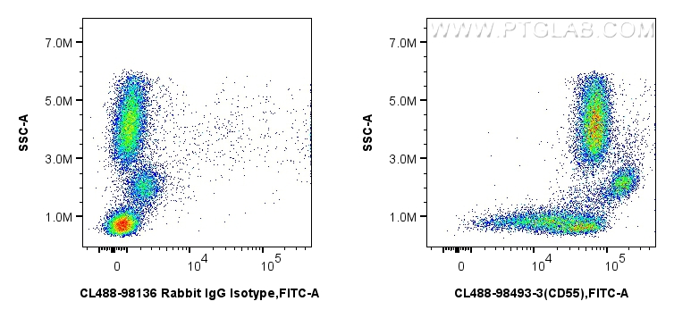 FC experiment of human peripheral blood leukocytes using CL488-98493-3