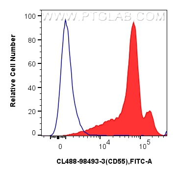 FC experiment of human peripheral blood leukocytes using CL488-98493-3