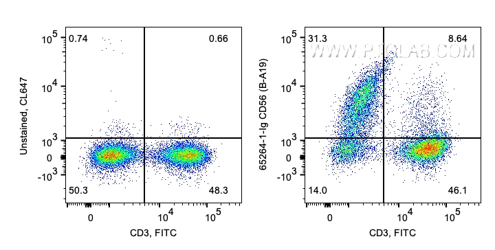 FC experiment of human PBMCs using 65264-1-Ig