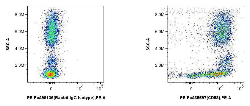 FC experiment of human peripheral blood leukocytes using PE-FcA65597