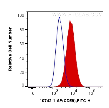 FC experiment of Jurkat using 10742-1-AP