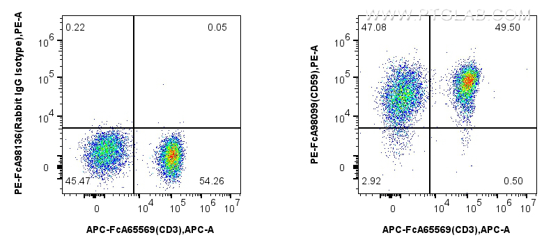 FC experiment of human PBMCs using PE-FcA98099