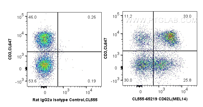 FC experiment of mouse splenocytes using CL555-65219