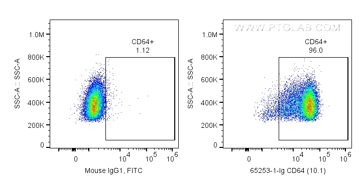 FC experiment of human PBMCs using 65253-1-Ig