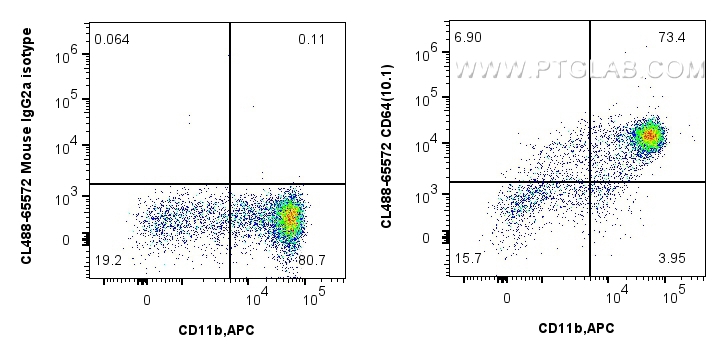 FC experiment of human PBMCs using CL488-65572