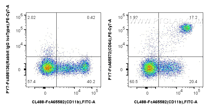 FC experiment of human PBMCs using PY7-FcA65572