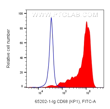 FC experiment of human PBMCs using 65202-1-Ig
