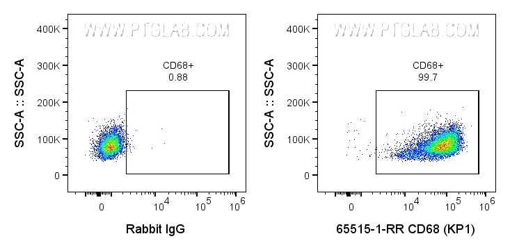 FC experiment of human PBMCs using 65515-1-RR (same clone as 65515-1-PBS)