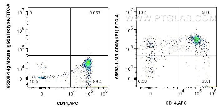 FC experiment of human PBMCs using 65593-1-MR (same clone as 65593-1-PBS)