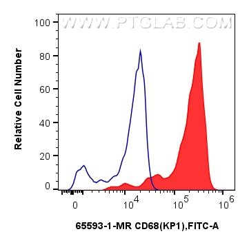 FC experiment of human PBMCs using 65593-1-MR (same clone as 65593-1-PBS)