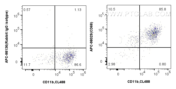 FC experiment of mouse peritoneal macrophages using APC-98029