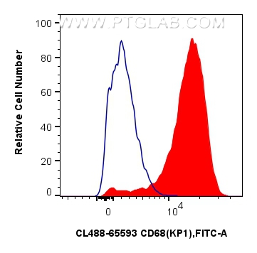 FC experiment of human PBMCs using CL488-65593
