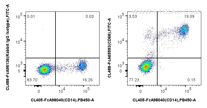 FC experiment of human PBMCs using CL488-FcA65593 FC experiment of human PBMCs using CL488-FcA65593