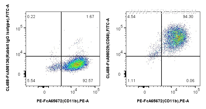 FC experiment of mouse peritoneal macrophages using CL488-FcA98029