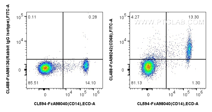 FC experiment of human PBMCs using CL488-FcA98242 FC experiment of human PBMCs using CL488-FcA98242