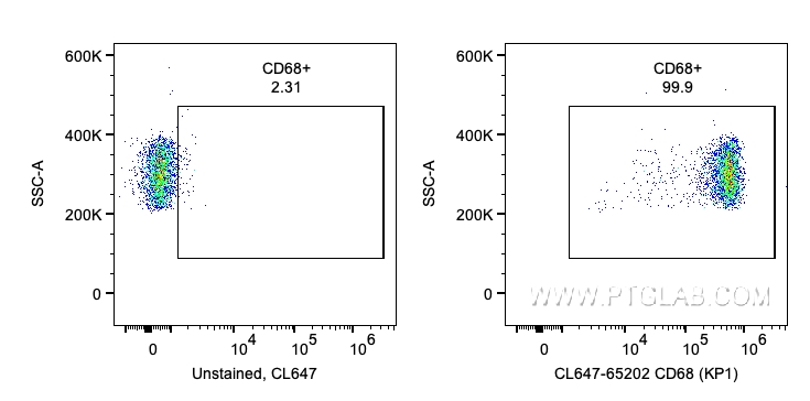 CD68