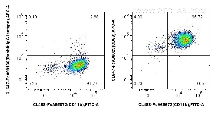 FC experiment of mouse peritoneal macrophages using CL647-FcA98029