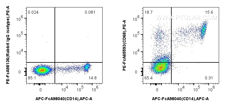 FC experiment of human PBMCs using PE-FcA65593