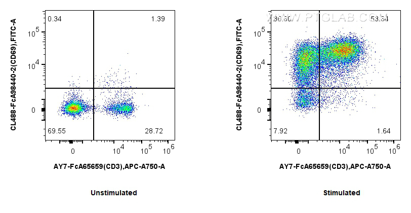 FC experiment of mouse splenocytes using CL488-FcA98440-2