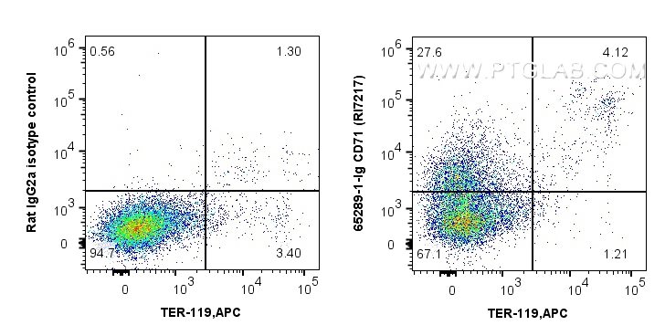 FC experiment of C57BL/6 mouse bone marrow cells using 65289-1-Ig
