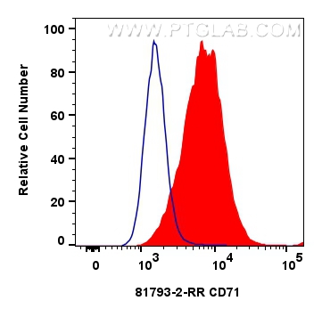 CD71