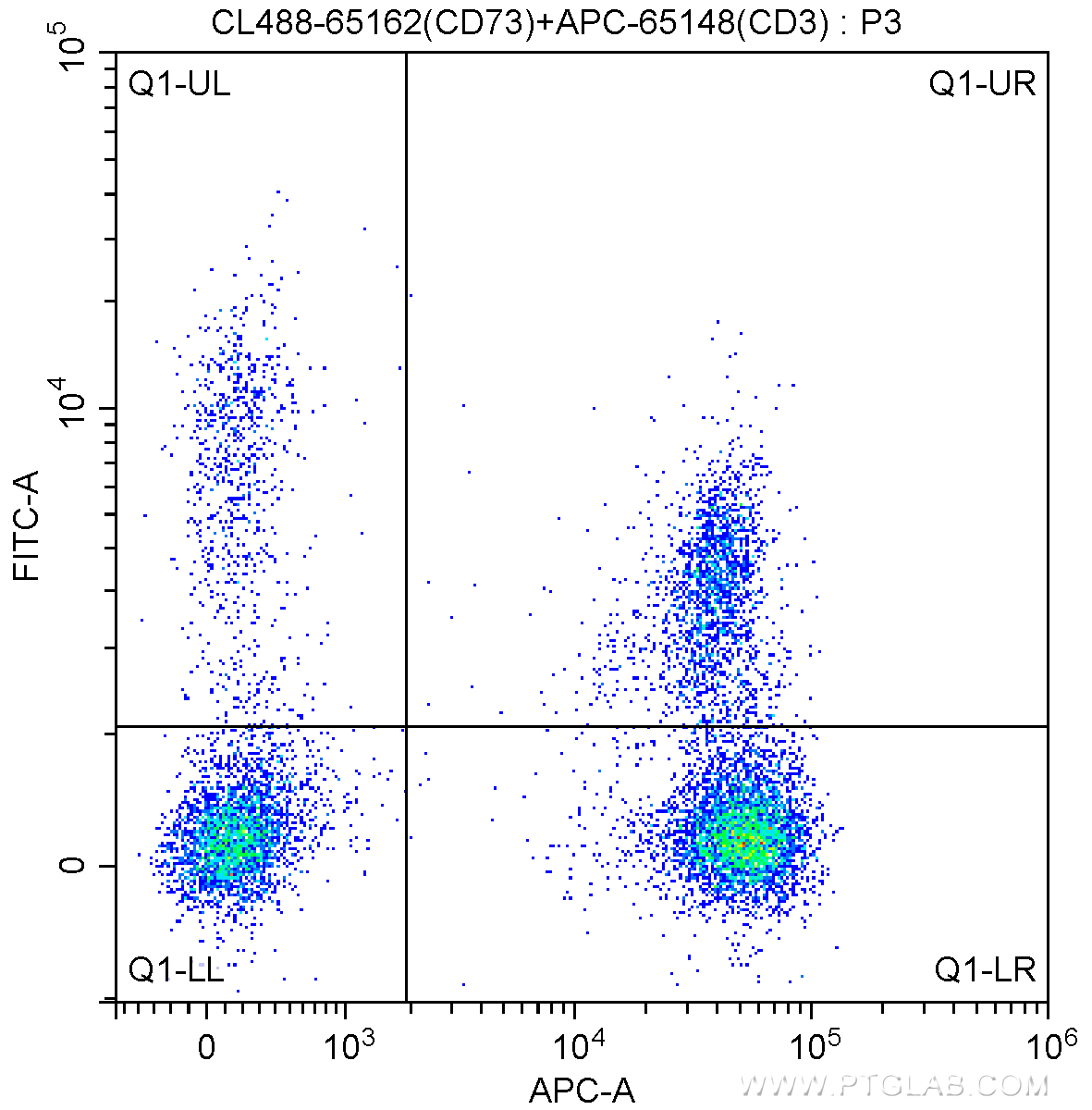 FC experiment of human peripheral blood lymphocytes using CL488-65162