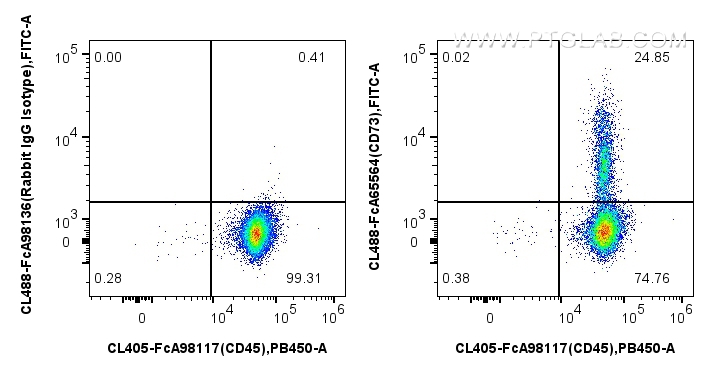 FC experiment of human PBMCs using CL488-FcA65564 FC experiment of human PBMCs using CL488-FcA65564