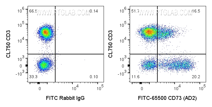 FC experiment of human PBMCs using FITC-65500