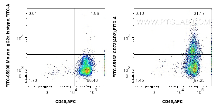 FC experiment of human PBMCs using FITC-65564