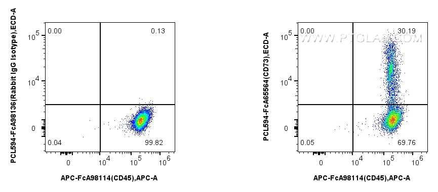 FC experiment of human PBMCs using PCL594-FcA65564 FC experiment of human PBMCs using PCL594-FcA65564