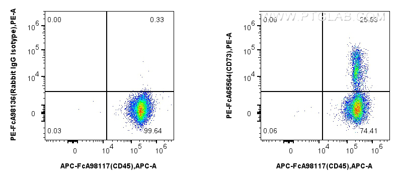 FC experiment of human PBMCs using PE-FcA65564