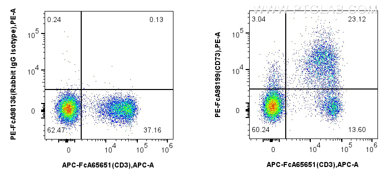 FC experiment of mouse splenocytes using PE-FcA98199