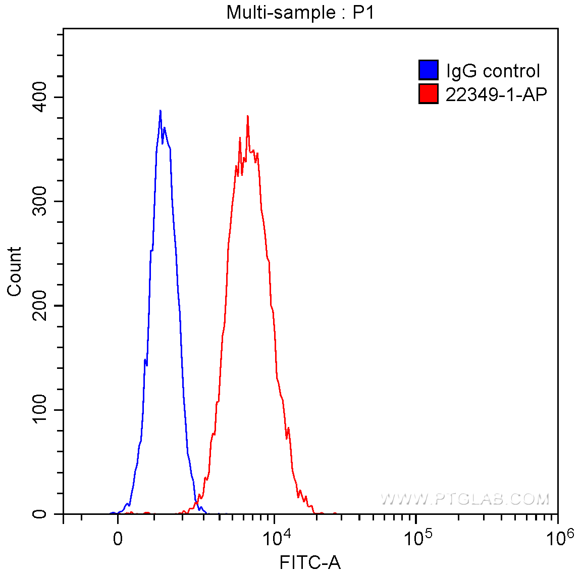 FC experiment of Raji using 22349-1-AP