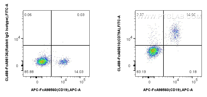 FC experiment of human PBMCs using CL488-FcA65610 FC experiment of human PBMCs using CL488-FcA65610