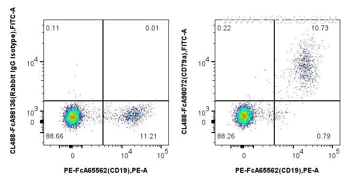 FC experiment of human PBMCs using CL488-FcA98072 FC experiment of human PBMCs using CL488-FcA98072