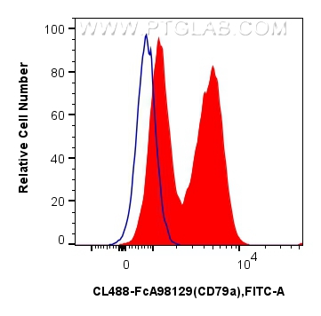 FC experiment of mouse splenocytes using CL488-FcA98129 FC experiment of mouse splenocytes using CL488-FcA98129