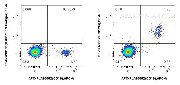 FC experiment of human PBMCs using PE-FcA98072