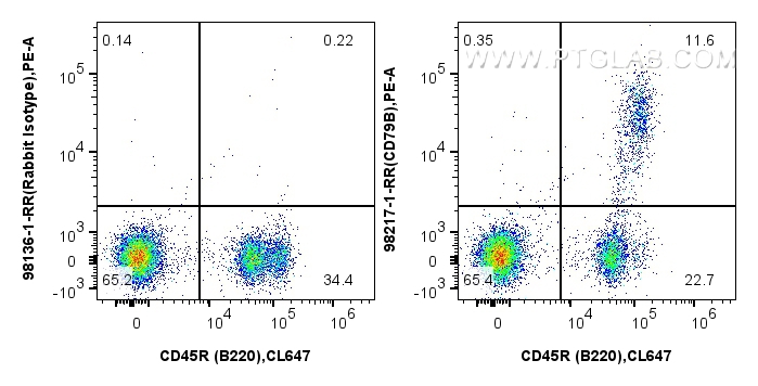 FC experiment of mouse bone marrow cells using 98217-1-RR (same clone as 98217-1-PBS)