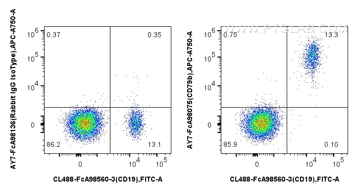 FC experiment of human PBMCs using AY7-FcA98075 FC experiment of human PBMCs using AY7-FcA98075