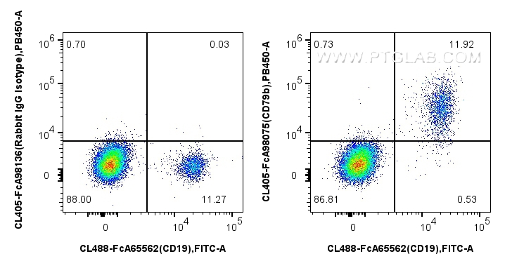 FC experiment of human PBMCs using CL405-FcA98075 FC experiment of human PBMCs using CL405-FcA98075