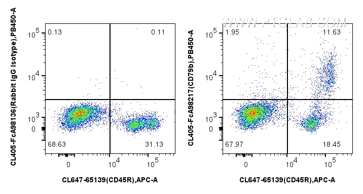FC experiment of mouse bone marrow cells using CL405-FcA98217